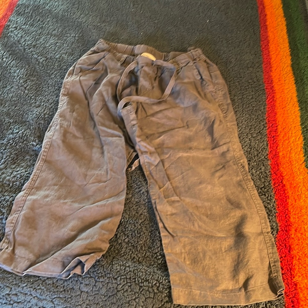 Allen Allen Grey Linen Pants